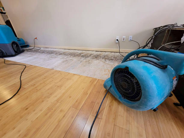 Professional Ceiling Water Damage Repair technician working in Ashland, WI